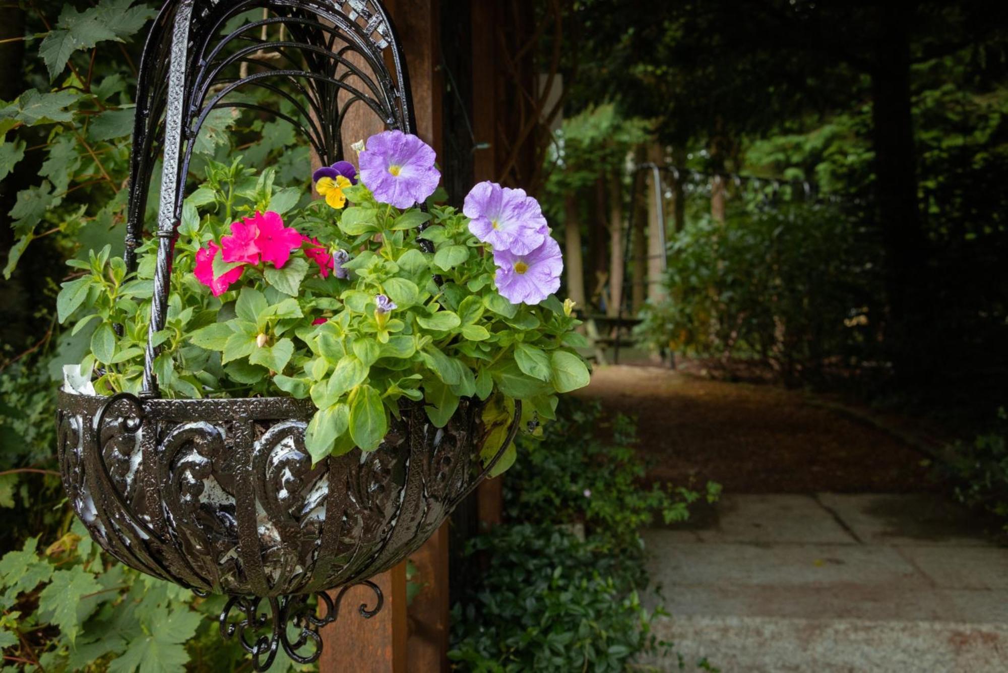 Croneybyrne Courtyard Villa Clara Екстериор снимка