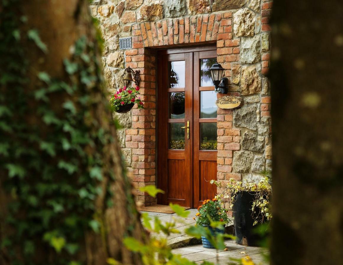 Croneybyrne Courtyard Villa Clara Екстериор снимка